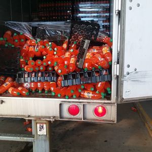 Meet your Posher, Bone